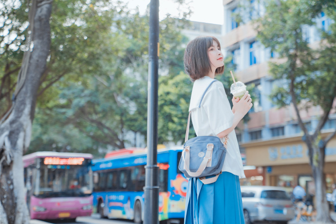 与凤行 海报